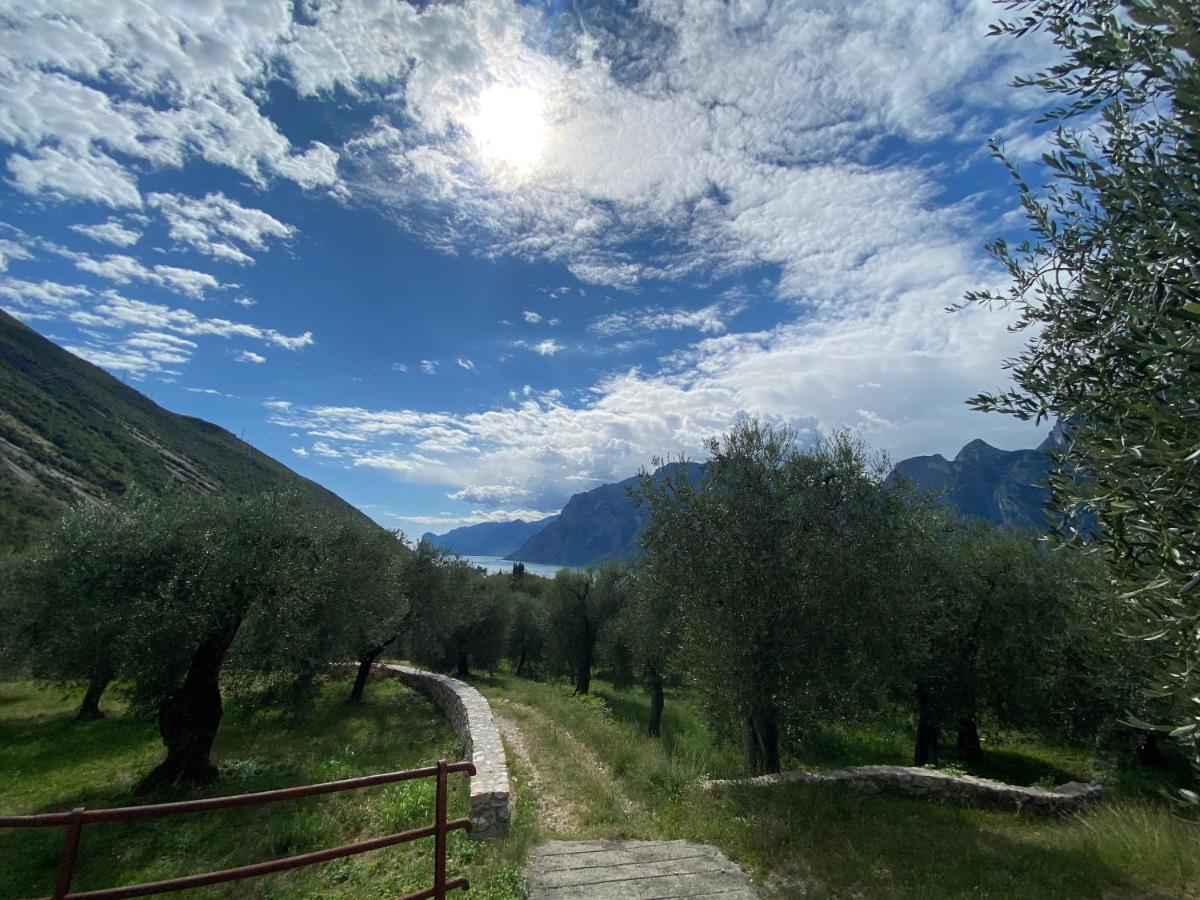 Garda Baldo Apartments_Vivaldi Torbole Sul Garda Exteriér fotografie